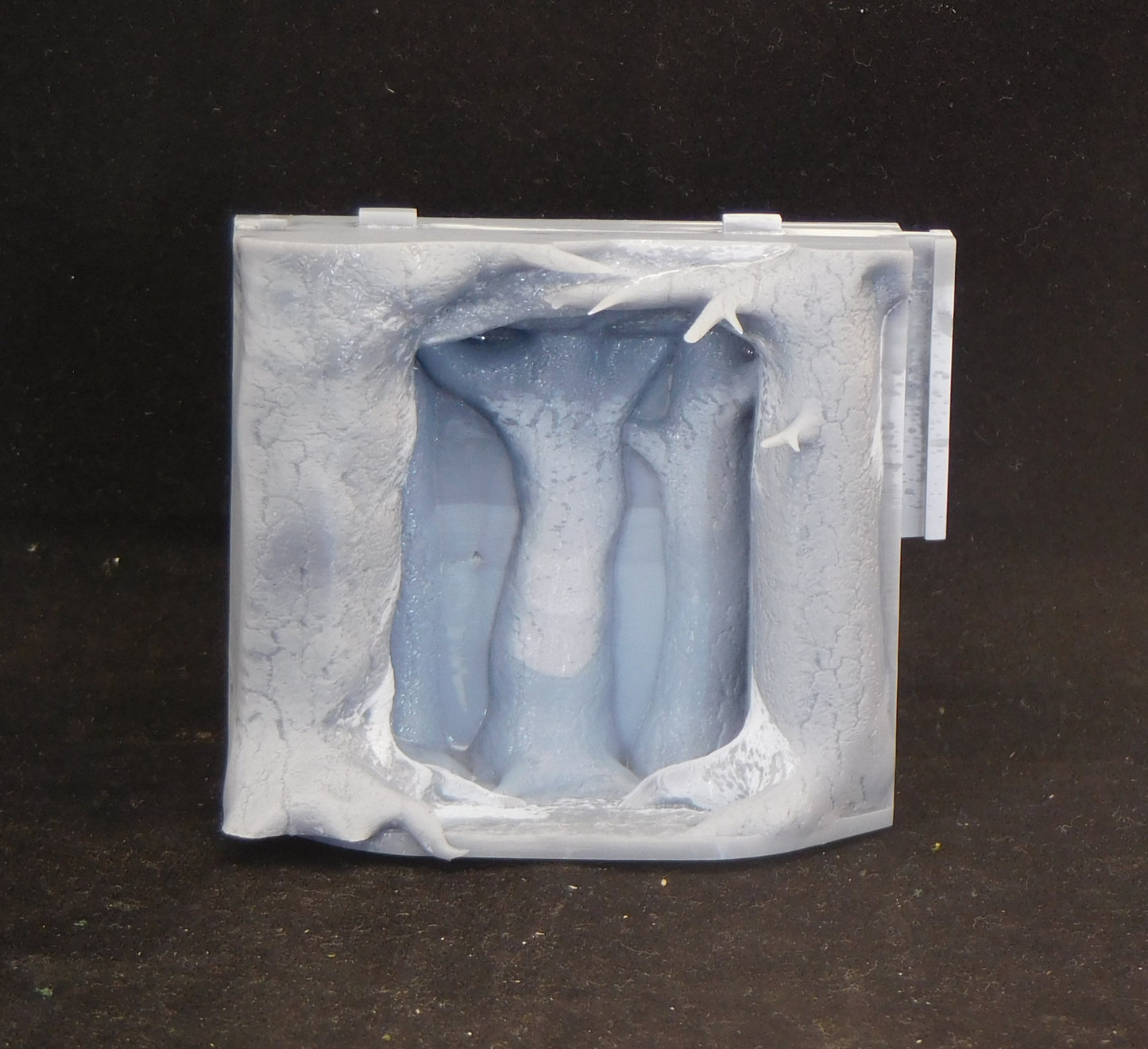 3D Resin Printed Fantasy Forest Miniature Display Box